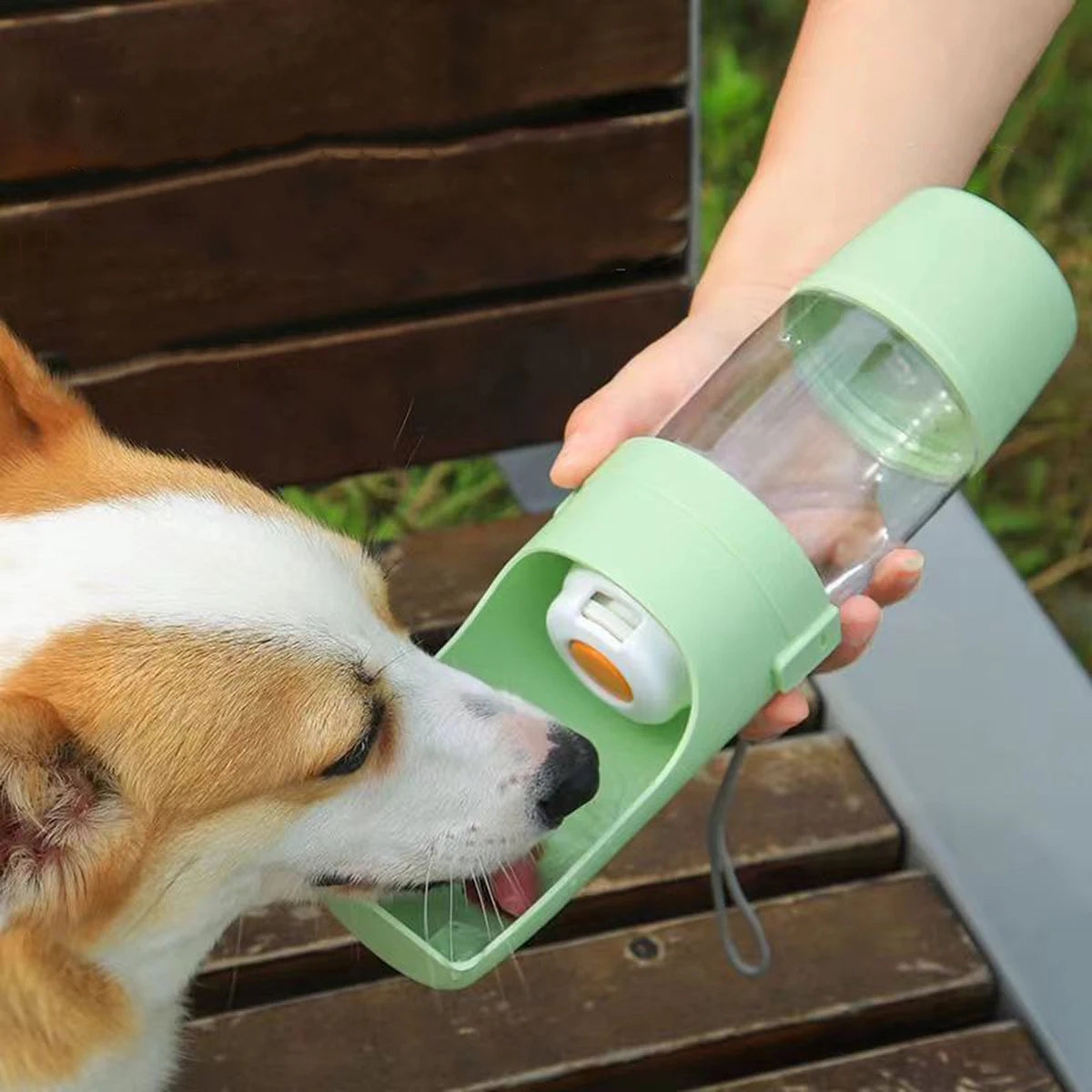 Animora™ | Gourde de Voyage 2-en-1 pour Chien & Chat – Eau + Croquettes